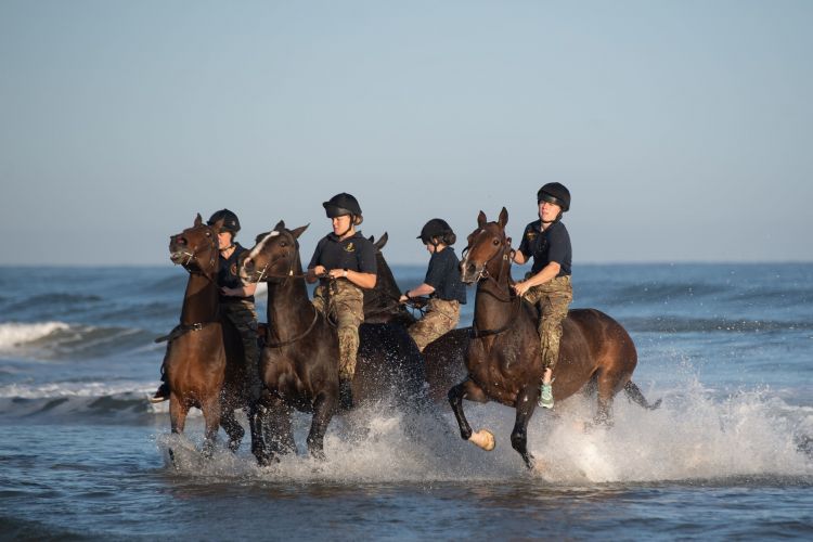 Soldiers and horses from The King's Troop Royal Horse Artillery exercise in the sea at Holkham in Norfolk