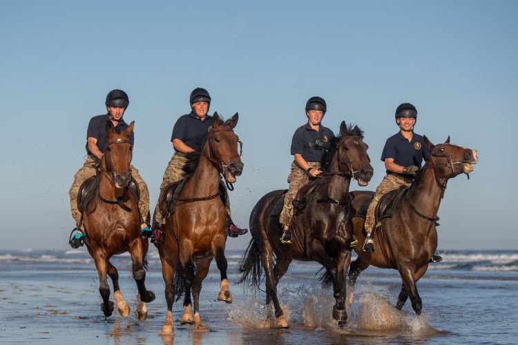 Soldiers and horses from The King's Troop Royal Horse Artillery exercise in the sea at Holkham in Norfolk