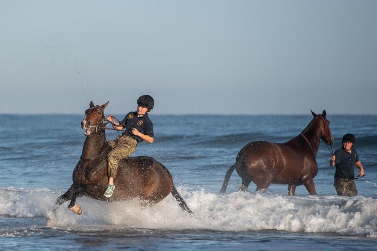 Soldiers and horses from The King's Troop Royal Horse Artillery exercise in the sea at Holkham in Norfolk