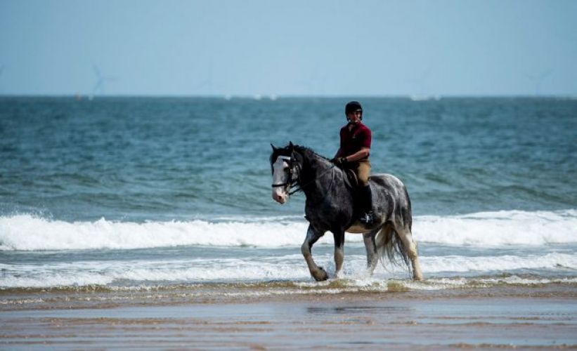 THE ARMY MOUNTS A CAVALRY CHARGE INTO THE NORFOLK OCEAN credit MOD 050719
