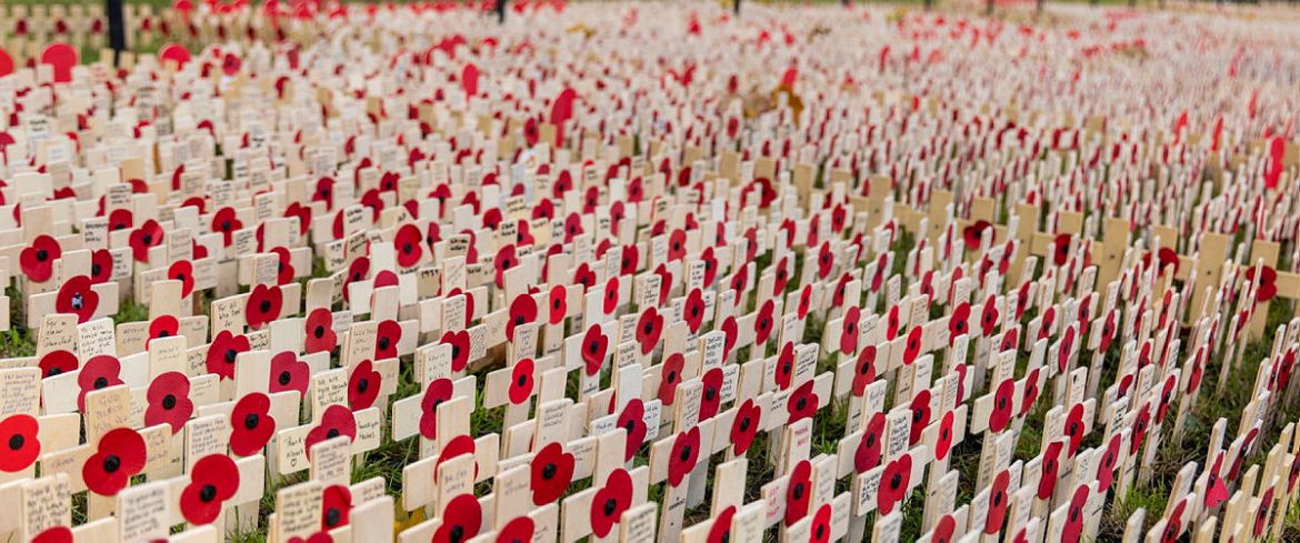 The Field of Remembrance, a memorial garden for those who lost their lives in service, was opened in the grounds of Westminster Abbey by the Duchess of Cornwall 111121 CREDIT MOD.jpg