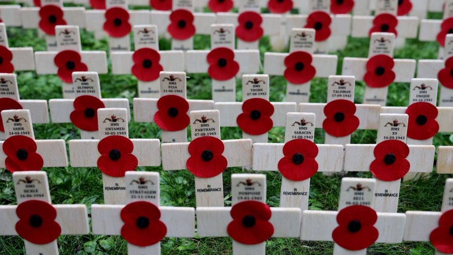 The Poppy Field of Remembrance 07112022 CREDIT Royal Navy MOD