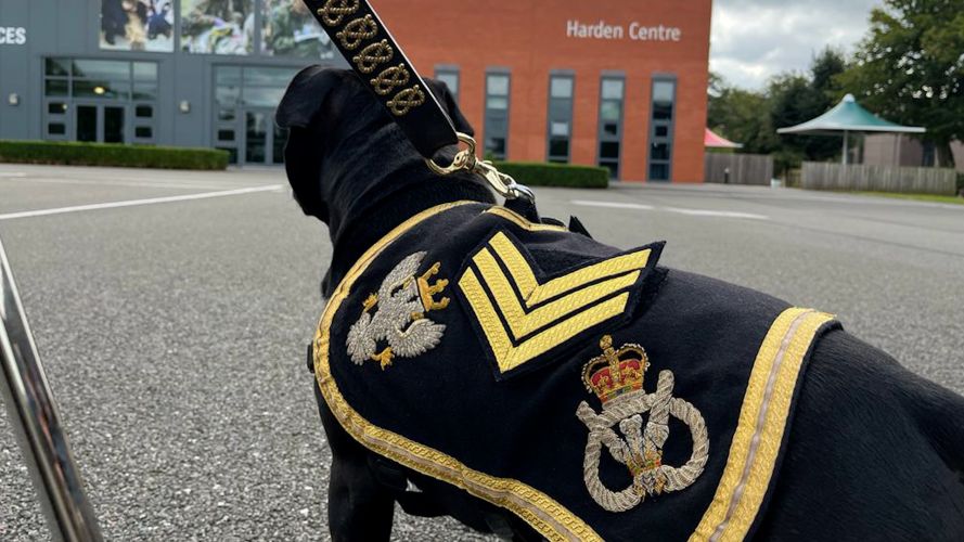 Watchman VI mascot of the Staffordshire Regimental Association with its new sergeant stripes 03092023 CREDIT BFBS
