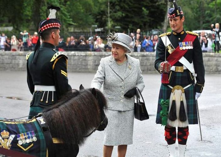 Cpl Cruachan IV meets Queen Elizabeth Corporal Cruachan IV