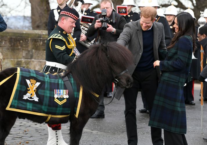 Corporal Cruachan IV meets HArry and Meghan (Picture: MOD) Corporal Cruachan IV