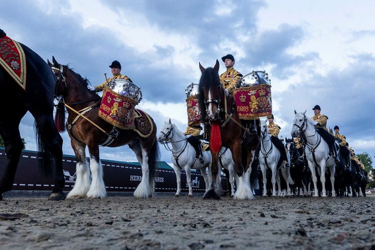 drum horses of the household cavalry at platinum jubilee pageant 15052022 credit crown copyright