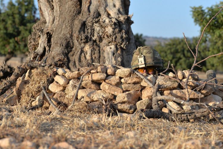 Picture: Crown Copyright 2014 / Ministry of Defence