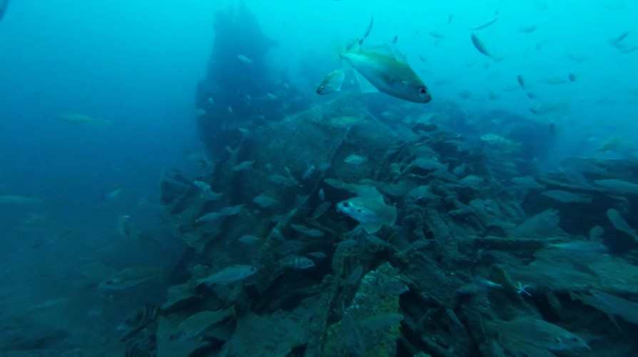 Mine damage visible on the wreck - 
Copyright Swanage Boat Charters Ltd
