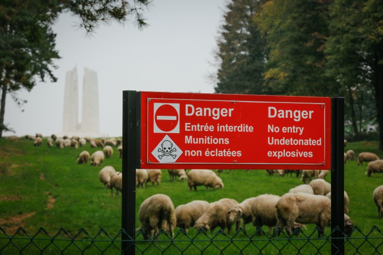 Vimy Ridge