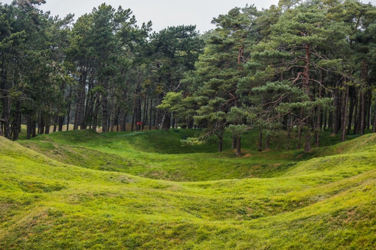 Vimy Ridge