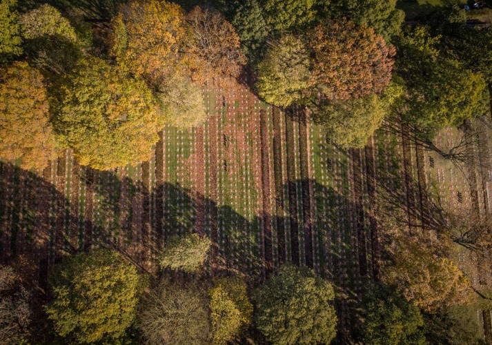 WW1 graves