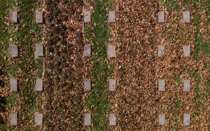 WW1 graves