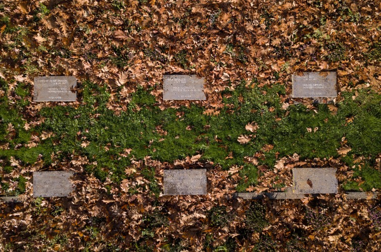 WW1 graves