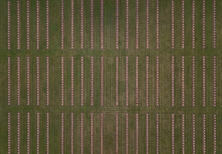 Aerial Pictures Reveal Landscape Still Scarred By WW1