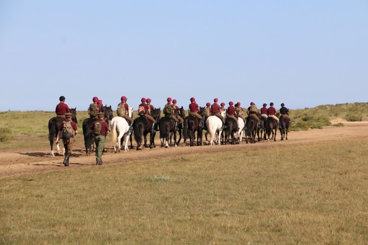 Household Cavalry 