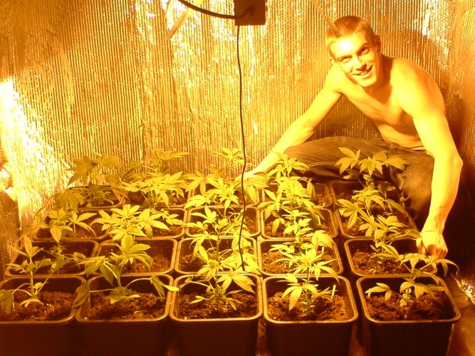 Maxwell posing with cannabis