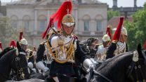 This Blues & Royals officer is a member of The Household Cavalry Mounted Regiment - the ceremonial cavalry unit of the British Army, which performs state and royal duties in London