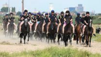 Household Cavalry Horses Hayling Island cred MOD