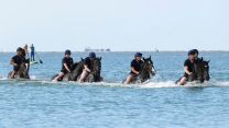 Household Cavalry Horses Hayling Island cred MOD
