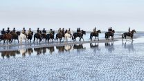 Household Cavalry Horses Hayling Island cred MOD