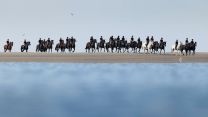 Household Cavalry Horses Hayling Island cred MOD