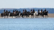 Household Cavalry Horses Hayling Island cred MOD