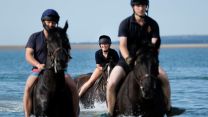 Household Cavalry Horses Hayling Island cred MOD