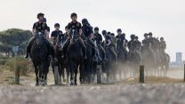 Household Cavalry Horses Hayling Island cred MOD