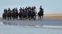 Household Cavalry Horses Hayling Island cred MOD