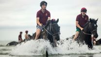 Household Cavalry Horses Hayling Island cred MOD