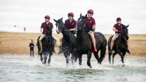 Household Cavalry Horses Hayling Island cred MOD