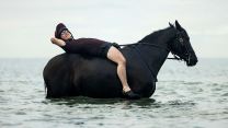 Household Cavalry Horses Hayling Island cred MOD