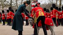 Princess of Wales strokes Irish Guards Mascot Turlough Mor to mark St Patrick's Day