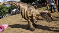 Dinosaur