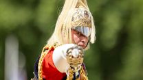 While this year it was the turn of King's Company, 1st Battalion Grenadier Guards to troop their Colour, the event included soldiers from the entire Household Division, including this officer from The Life Guards