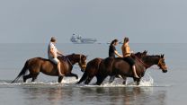 19082026 Darwin residents go horseback riding in the shallows as HMS Prince of Wales approaches Darwin Harbour in Australia, during the UK Carrier Strike Group deployment, Operation Highmast pic MOD