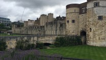 Invictus Games Team Launch 2017