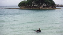 US Airmen Rescue Rare Dwarf Sperm Whale