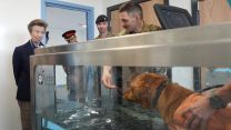 The Princess Royal watches Archer in a hydrotherapy pool during a visit to Kendrew Barracks in Cottesmore pic PA