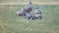 Largest UK military parachute drop in a decade takes place on Salisbury Plain