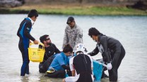 US Airmen Rescue Rare Dwarf Sperm Whale