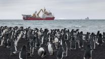 A team from HMS Protector lands on Saunders Island, South Sandwich Islands to collect drone imagery to be used to calulate the numbers of penguins on the island