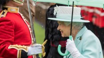 Queen new colours
