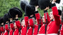 Queen new colours