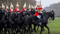 Queen's Cavalry inspection 