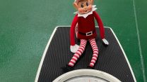 All New Joiners are required to undergo a Medical Check within their first 2 weeks onboard (no elfceptions).jpg