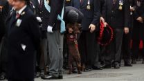 Armed Forces personnel came together at the Cenotaph in London for Remembrance Sunday 13112022 CREDIT MOD Crown Copyright.jpg