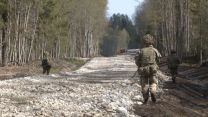 British troops patrolling through woodland environments.