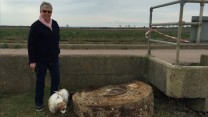 Dambusters Raid's Bouncing Bomb Found In Kent