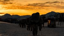 Troops Trek Through Snow As The Sun Sets On Exercise Clockwork
